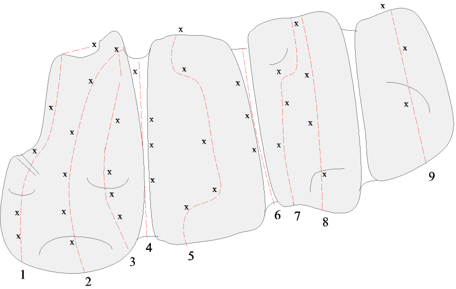 Klettern Schwäbische Alb Klettern Schwäbische Alb